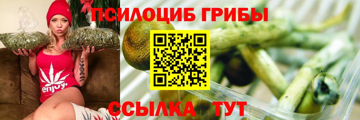 Галлюциногенные грибы Psilocybe Уфа